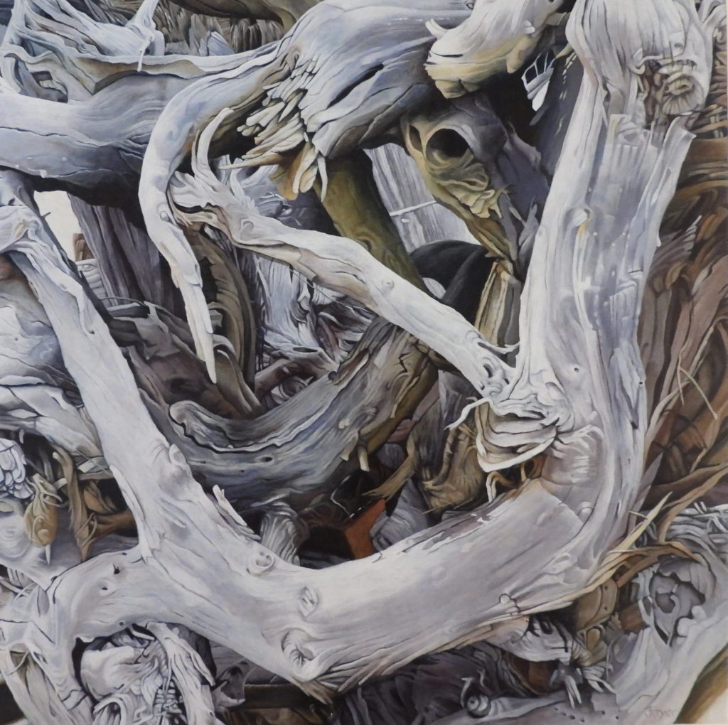 Fryer, Jill -Driftwood
